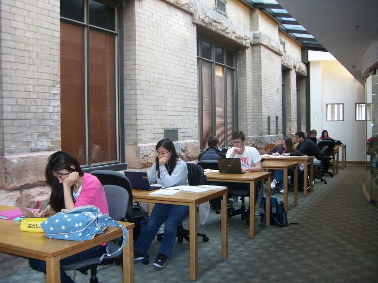 study area