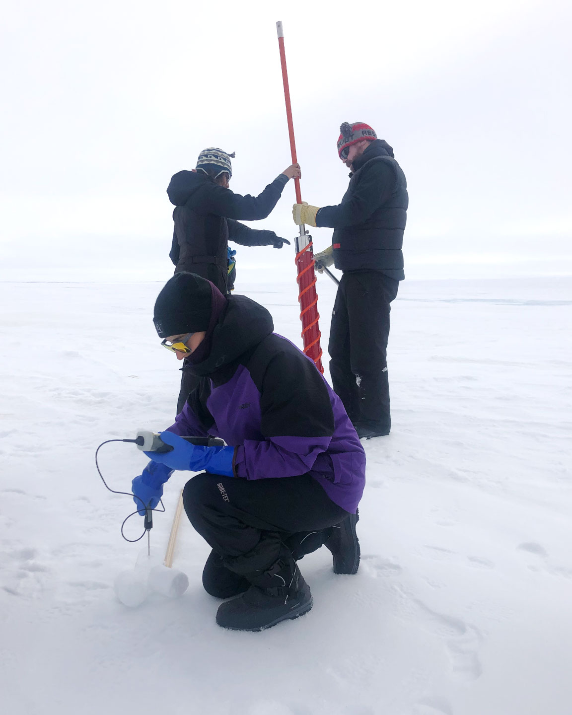 Rebecca and sea ice experiments