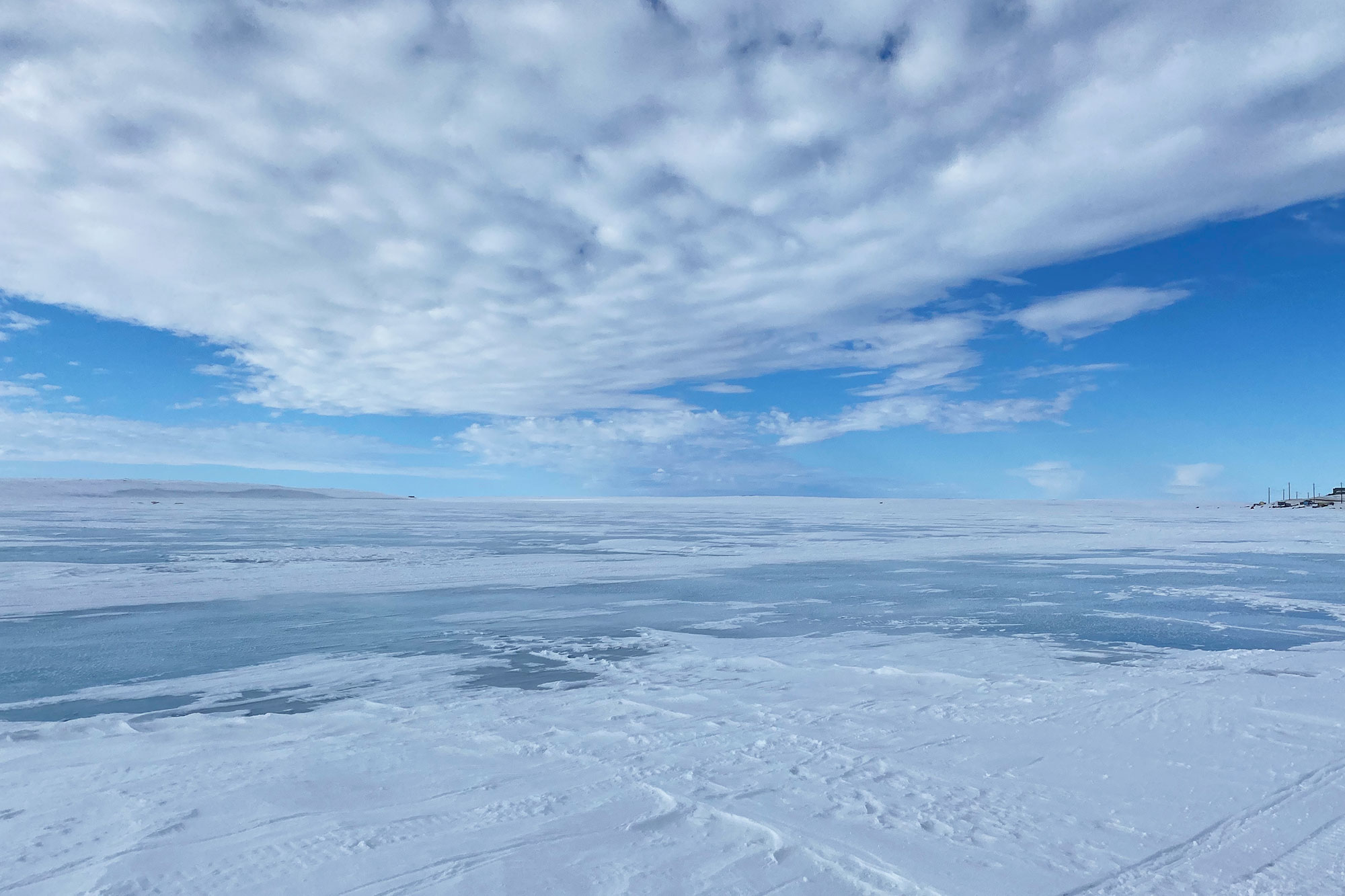 Sea ice vista