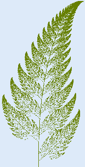 fern.png