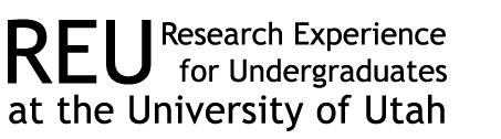 REU logo