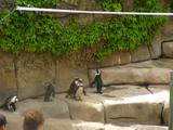 20100603T003523Z.jpg