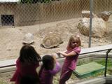 20100603T003613Z.jpg