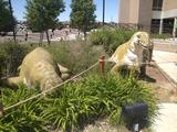 20130608T120944Z.jpg