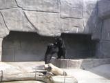 PICT1682.JPG