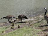 20080509T004514Z.jpg