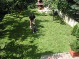 20080615T062803Z.jpg
