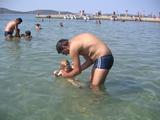 pict0067.jpg