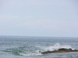 dscn0780.jpg