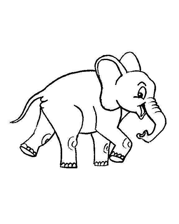 elephant