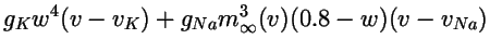 $\displaystyle g_Kw^4(v-v_K)
+g_{Na}m_\infty^3(v)(0.8-w)(v-v_{Na})$