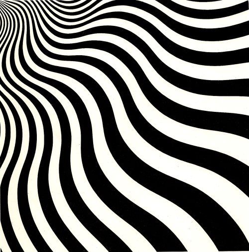 Intake (1964) by Bridget Riley