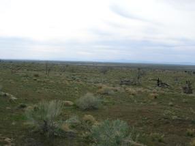 Delta-view