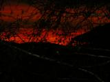 DSCN1450.JPG